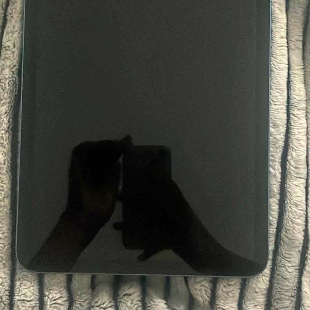 Blue 10th Gen Ipad